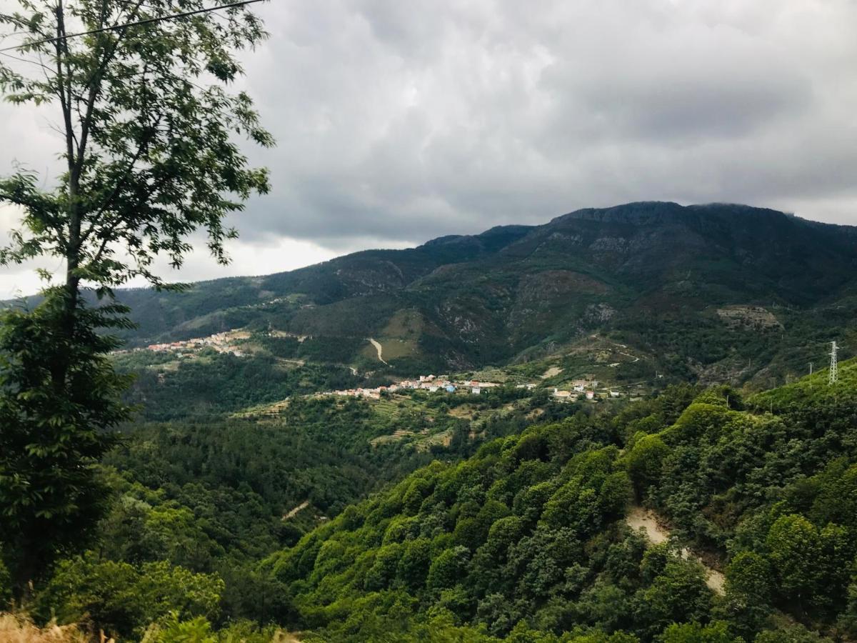 "Casa Do Avo Armindo" Mountain Experience Villa Vila Real Ngoại thất bức ảnh