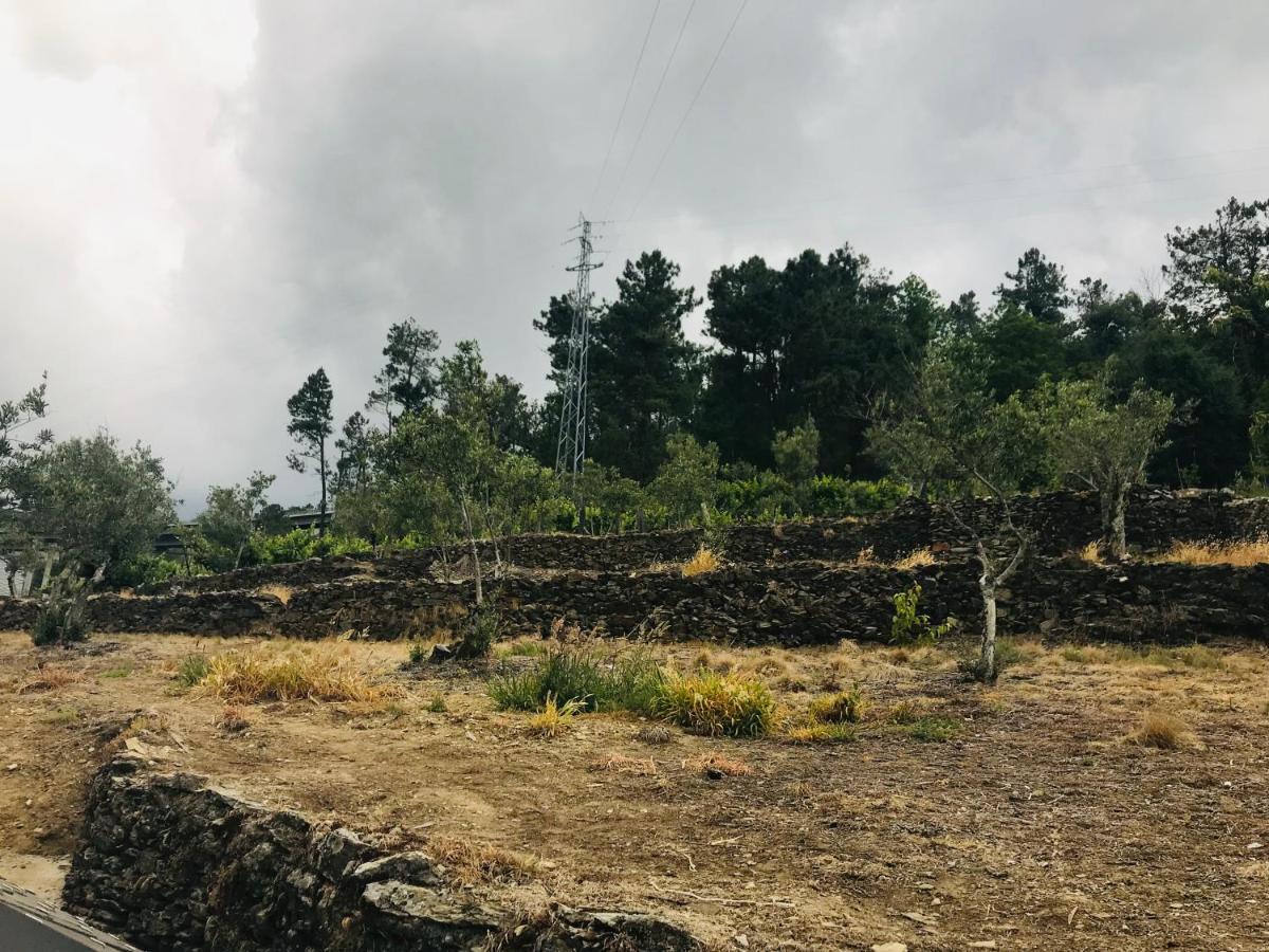 "Casa Do Avo Armindo" Mountain Experience Villa Vila Real Ngoại thất bức ảnh