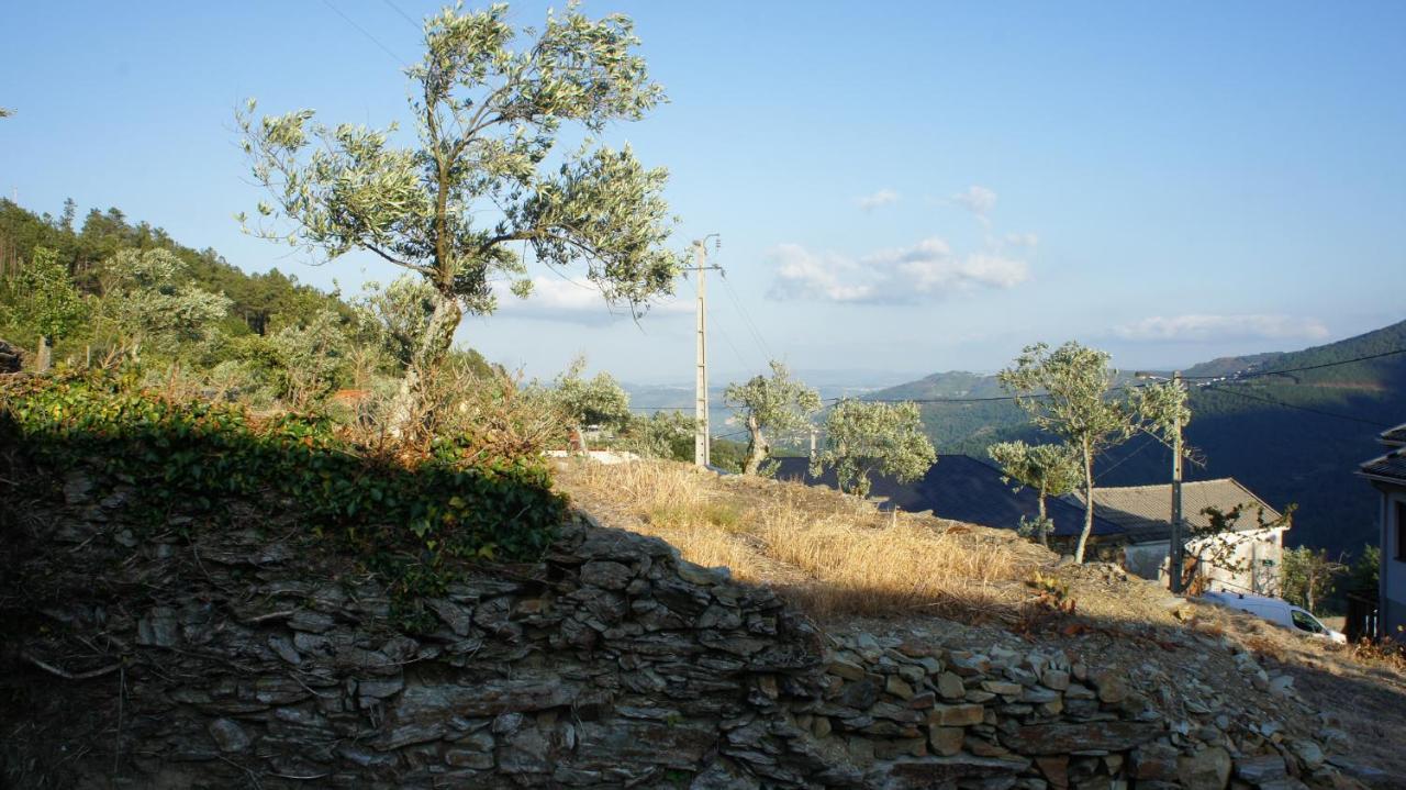 "Casa Do Avo Armindo" Mountain Experience Villa Vila Real Ngoại thất bức ảnh